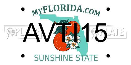 AVTI15 Florida License Plate
