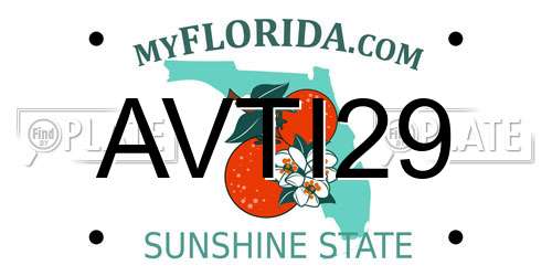 AVTI29 Florida License Plate