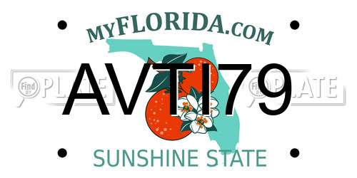 AVTI79 Florida License Plate