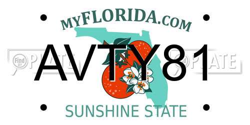 AVTY81 Florida License Plate
