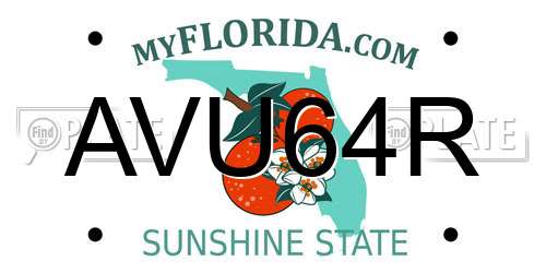 AVU64R Florida License Plate