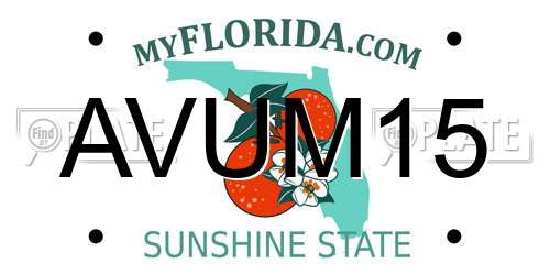 AVUM15 Florida License Plate