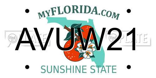 AVUW21 Florida License Plate