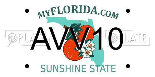AVV10 Florida License Plate