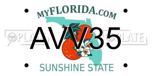AVV35 Florida License Plate