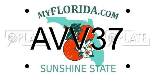 AVV37 Florida License Plate