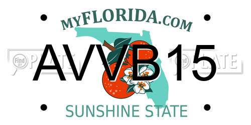 AVVB15 Florida License Plate