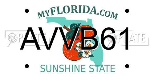 AVVB61 Florida License Plate