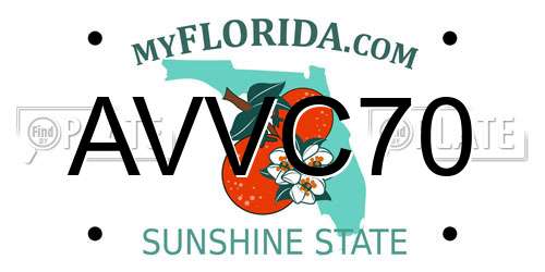 AVVC70 Florida License Plate
