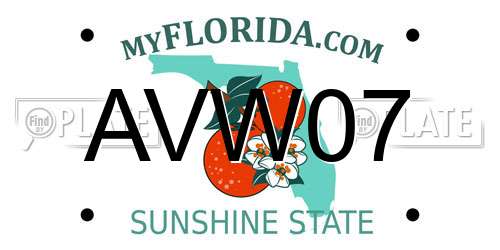 AVW07 Florida License Plate