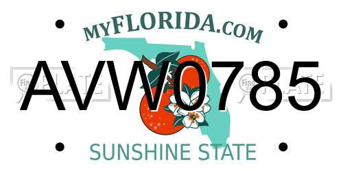 AVW0785 Florida License Plate