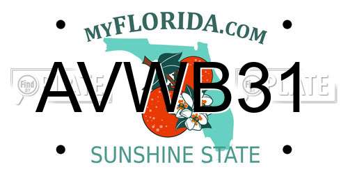 AVWB31 Florida License Plate