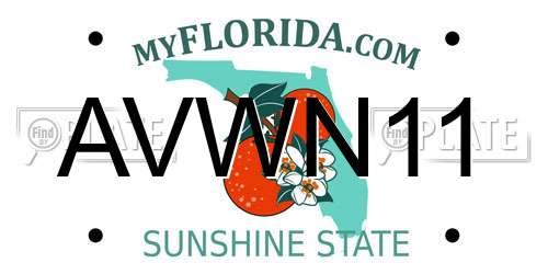 AVWN11 Florida License Plate