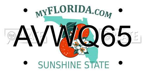 AVWQ65 Florida License Plate