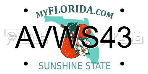 AVWS43 Florida License Plate