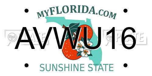 AVWU16 Florida License Plate