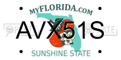 AVX51S Florida License Plate