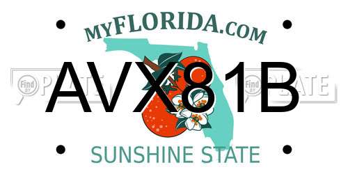 AVX81B Florida License Plate