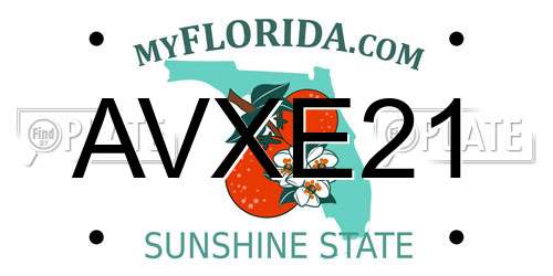 AVXE21 Florida License Plate