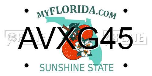 AVXG45 Florida License Plate