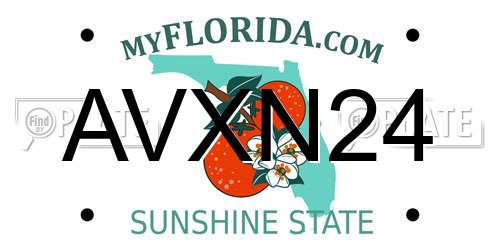 AVXN24 Florida License Plate
