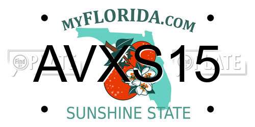 AVXS15 Florida License Plate