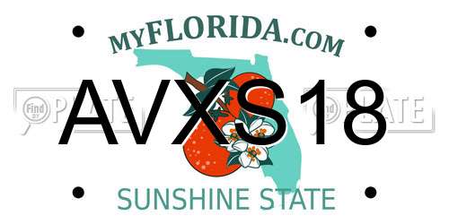AVXS18 Florida License Plate