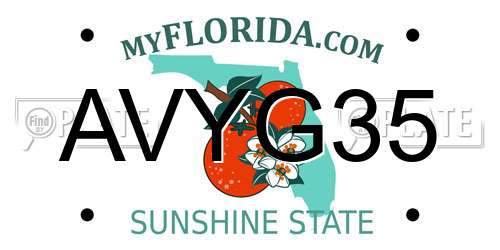 AVYG35 Florida License Plate