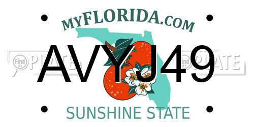 AVYJ49 Florida License Plate