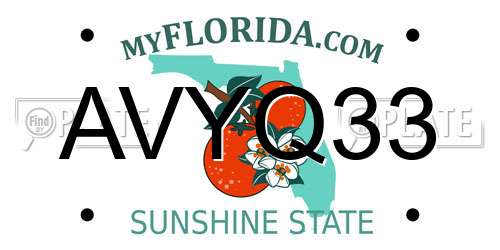 AVYQ33 Florida License Plate