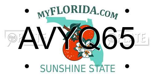 AVYQ65 Florida License Plate