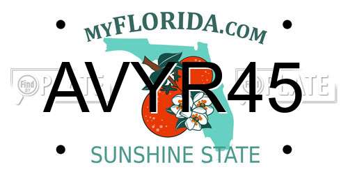 AVYR45 Florida License Plate