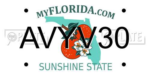 AVYV30 Florida License Plate