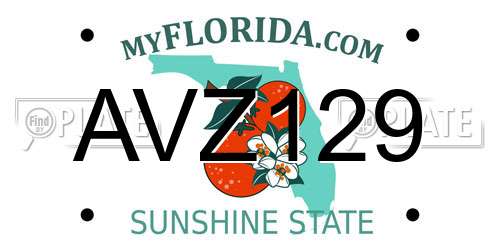 AVZ129 Florida License Plate