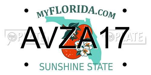 AVZA17 Florida License Plate