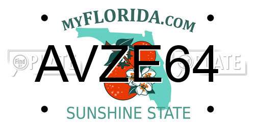 AVZE64 Florida License Plate