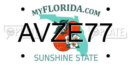 AVZE77 Florida License Plate