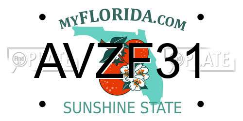 AVZF31 Florida License Plate