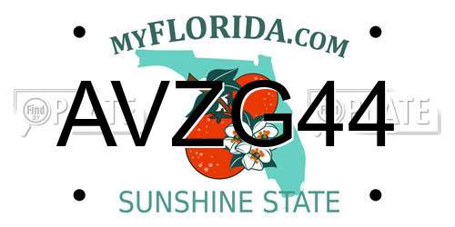 AVZG44 Florida License Plate
