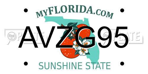 AVZG95 Florida License Plate