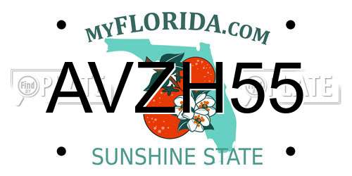 AVZH55 Florida License Plate