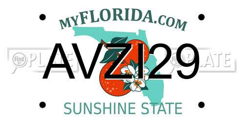 AVZI29 Florida License Plate