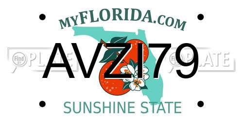 AVZI79 Florida License Plate