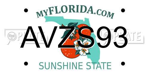 AVZS93 Florida License Plate