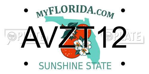 AVZT12 Florida License Plate