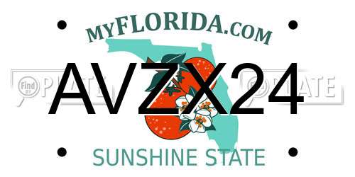 AVZX24 Florida License Plate