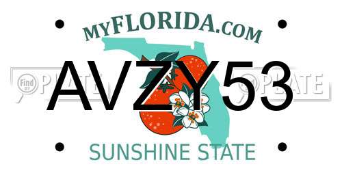 AVZY53 Florida License Plate