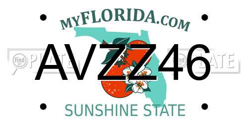 AVZZ46 Florida License Plate