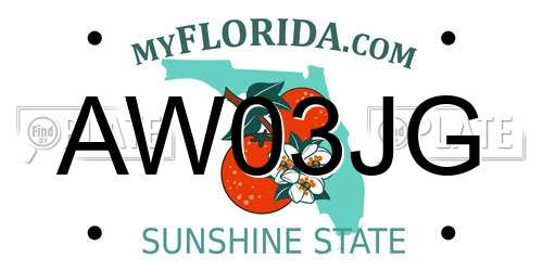 AW03JG Florida License Plate