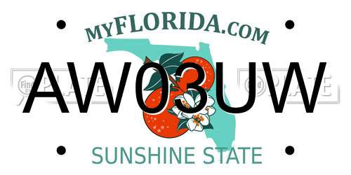 AW03UW Florida License Plate